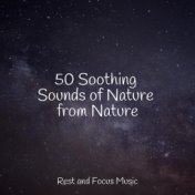 50 Soothing Sounds of Nature from Nature