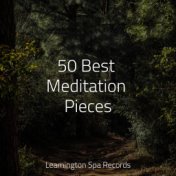 50 Best Meditation Pieces