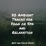 50 Ambient Tracks for Yoga or Spa and Relaxation