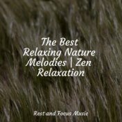 The Best Relaxing Nature Melodies | Zen Relaxation