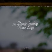 50 Deeply Soothing Water Songs