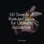 50 Sounds of Rain and Relax for Ultimate Relaxation