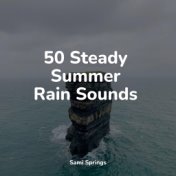 50 Steady Summer Rain Sounds