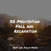 50 Meditation Fall and Relaxation