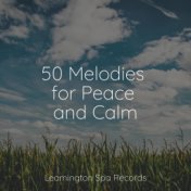 50 Melodies for Peace and Calm