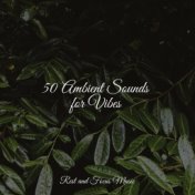 50 Ambient Sounds for Vibes