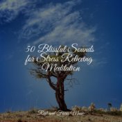 50 Blissful Sounds for Stress Relieving Meditation