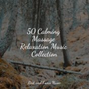 50 Calming Massage Relaxation Music Collection