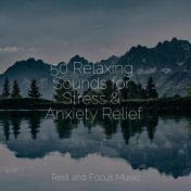 50 Relaxing Sounds for Stress & Anxiety Relief