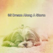 35 Dream Along A Storm