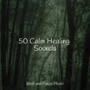 50 Calm Healing Sounds