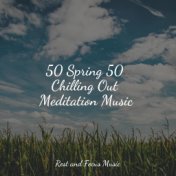 50 Spring 50 Chilling Out Meditation Music