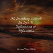 50 Soothing Sounds for Spa & Relaxation & Relaxation