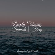 Deeply Calming Sounds | Sleep