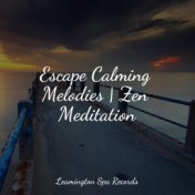 Escape Calming Melodies | Zen Meditation