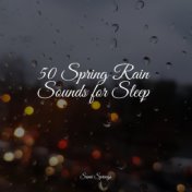 50 Spring Rain Sounds for Sleep