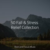 50 Fall & Stress Relief Collection