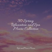 50 Spring Relaxation and Spa Music Collection