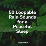 50 Loopable Rain Sounds for a Peaceful Sleep
