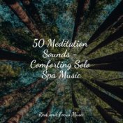 50 Meditation Sounds - Comforting Solo Spa Music