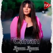 Aycan Aycan