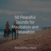 50 Peaceful Sounds for Meditation and Relaxation