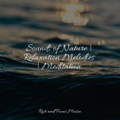 Sounds of Nature | Relaxation Melodies | Meditation