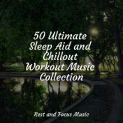 50 Ultimate Sleep Aid and Chillout Workout Music Collection