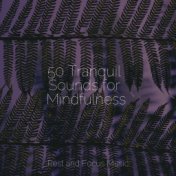 50 Tranquil Sounds for Mindfulness