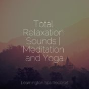 Total Relaxation Sounds | Meditation and Yoga