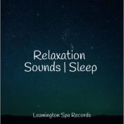 Relaxation Sounds | Sleep