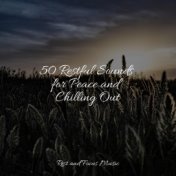 50 Restful Sounds for Peace and Chilling Out