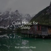 Calm Music for Sleep