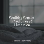 Soothing Sounds | Mindfulness & Meditation