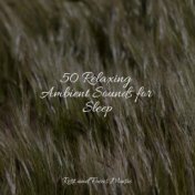 50 Relaxing Ambient Sounds for Sleep