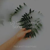 50 Best Sleepy Song Sounds