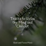 Tracks to Relax the Mind and Chillout