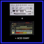 Acid Diary