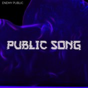 Public Song