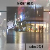 Moonlit Walk Select 2023