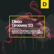 Disco Grooves 2023