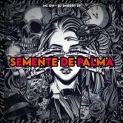 SEMENTE DE PALMA