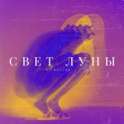 Свет луны