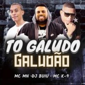 To Galudo Galudão