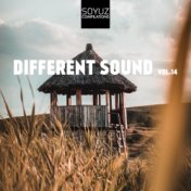Different Sound, Vol. 14
