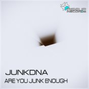 Are You Junk Enough