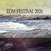 EDM FESTIVAL 2020