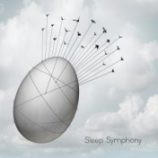 Sleep Symphony: The Most Beautiful Ambient Sleeping Melodies 2020