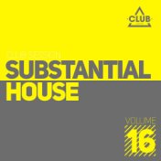 Substantial House, Vol. 16