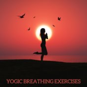 Yogic Breathing Exercises (Pranayama Background Music)